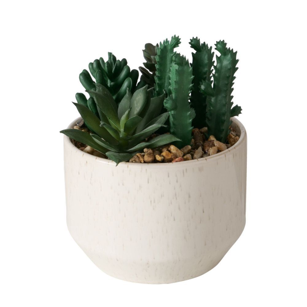 Boltze Umělá rostlina SUCCULENT, 12 cm - EDAXO.CZ s.r.o.