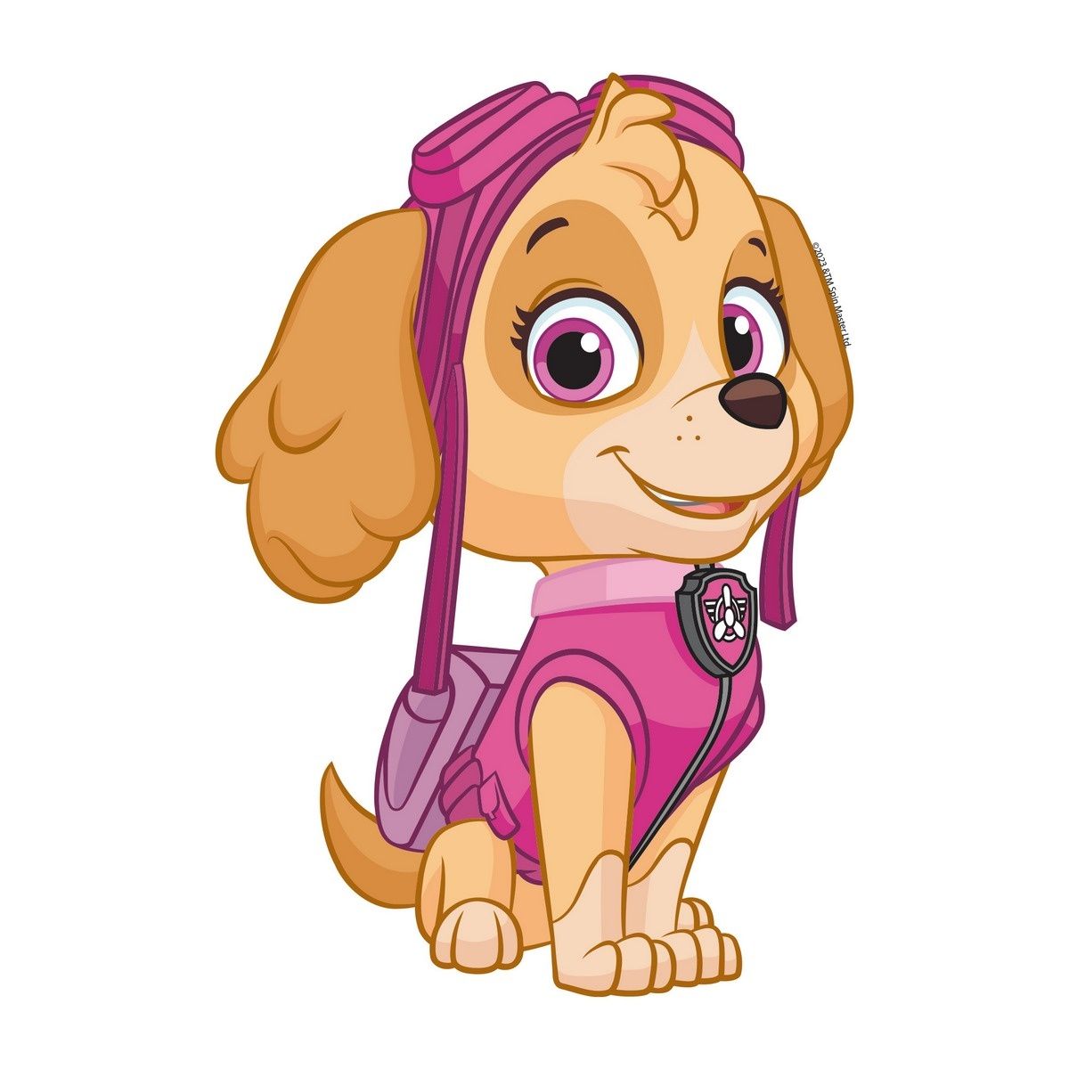 3D Samolepka Paw Patrol Skye, 14 x 20 cm - 4home.cz