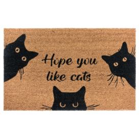 Hanse Home Collection koberce Rohožka Hope you like cats 105667 - na ven i na doma - 45x75 cm